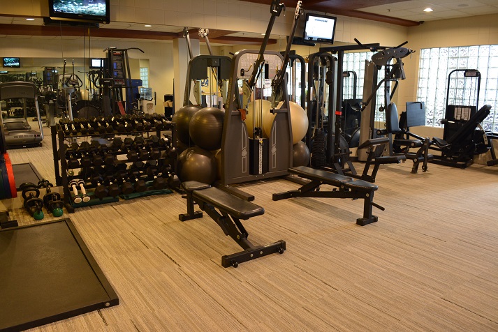 Mountain Chalet Aspen Fitness Gym Machines